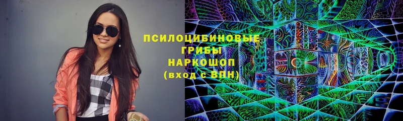 Псилоцибиновые грибы Psilocybine cubensis  Лакинск 